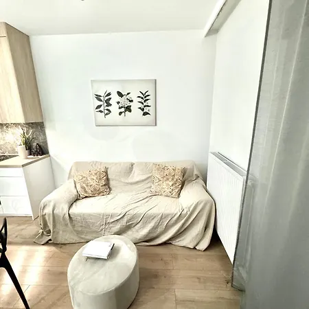Luxury Central Ideal For Remote Work Βαρσοβία